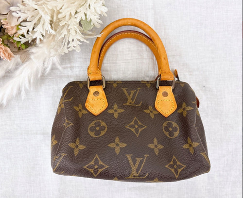 Mini borsa louis vuitton - borsa,